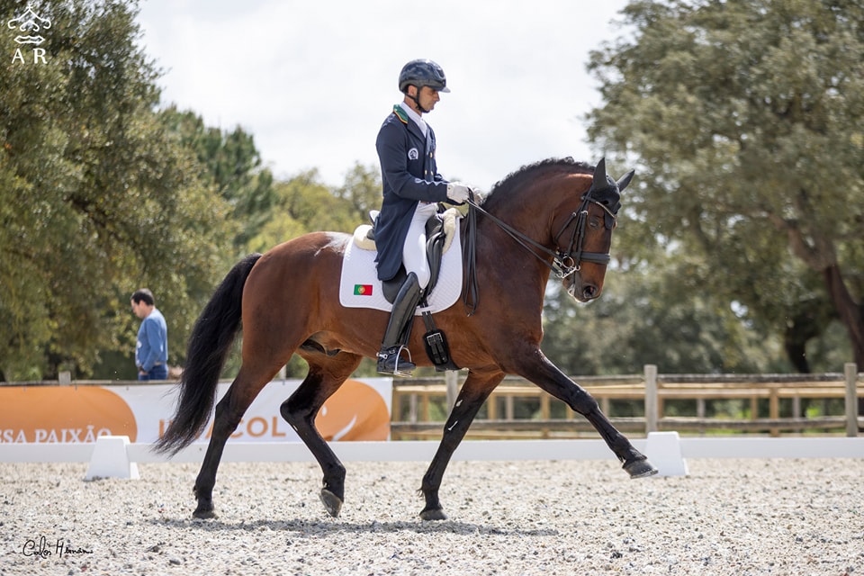 Estoril Cascais Riding Centre